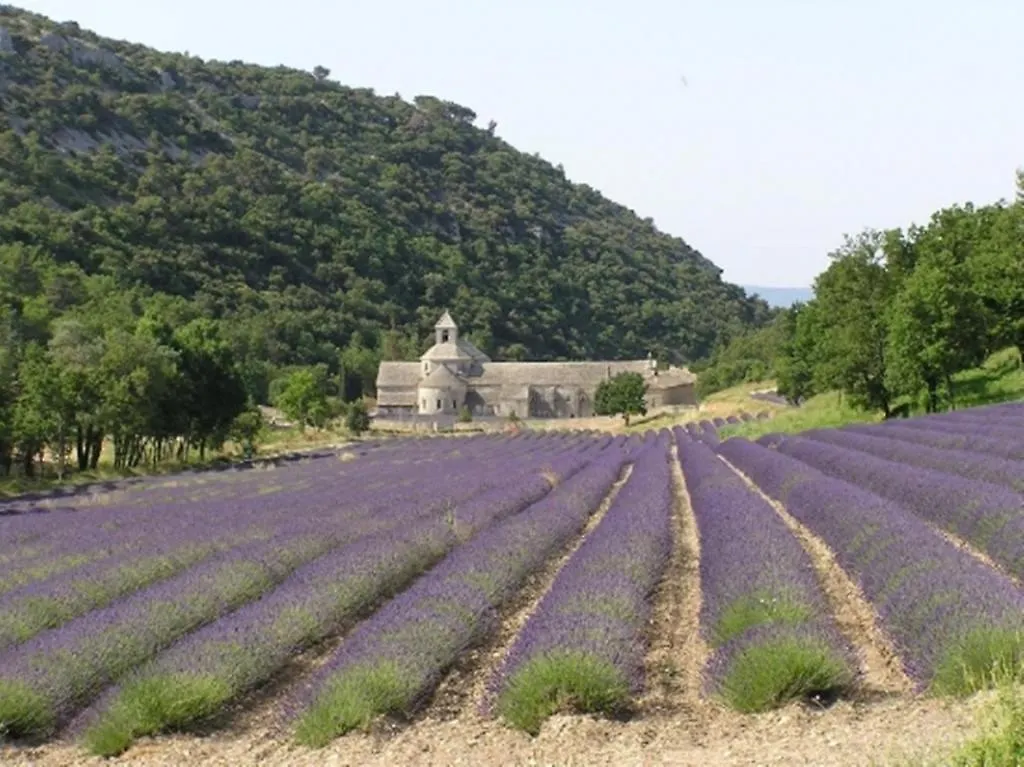 Gite Le Mas De L'Amandier Saint-Saturnin-les-Avignon Holiday home