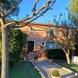 D Lavande 